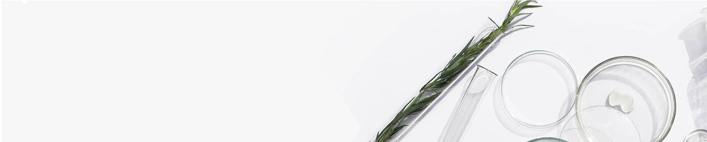 Isntree - InternationalCosmetic