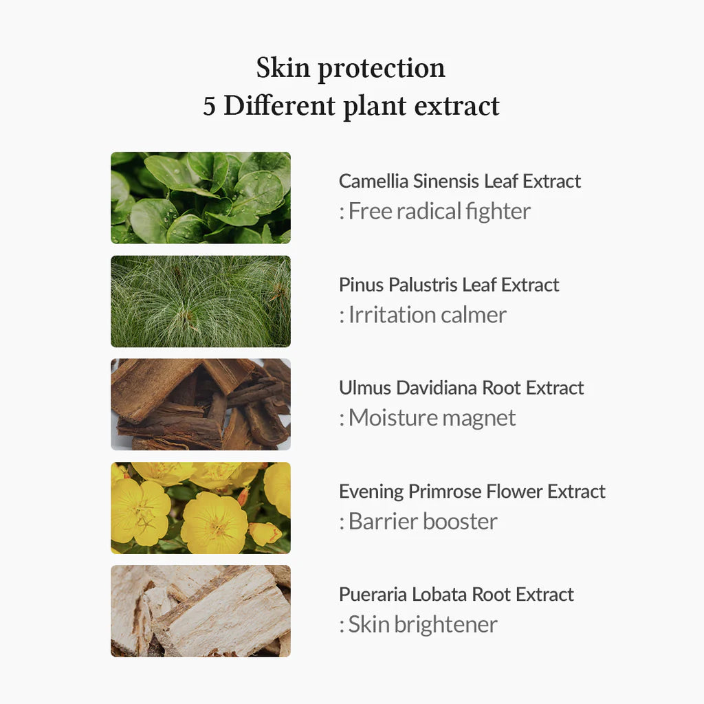 DR. ALTHEA | 15% Calamine Spot Powder - 15ml