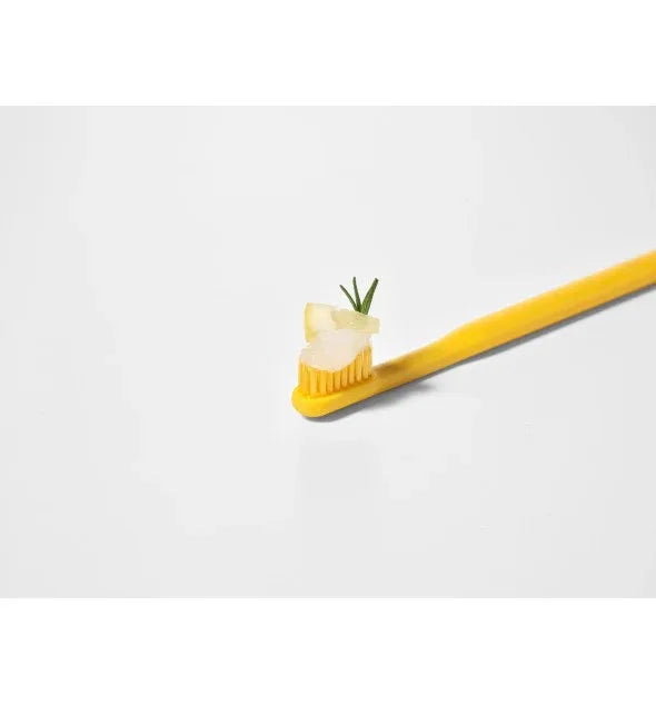 TOOSTY | Lemon Sorbert Toothpaste - 80ml - InternationalCosmetic