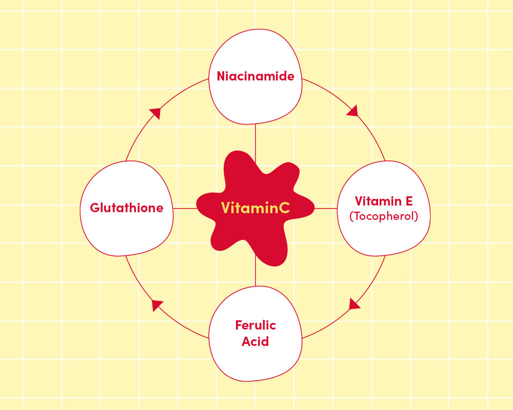 EQQUALBERRY | Vitamin Illuminating Serum 30ml