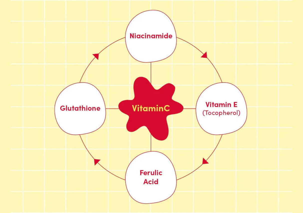 EQQUALBERRY | Vitamin Illuminating Serum 30ml