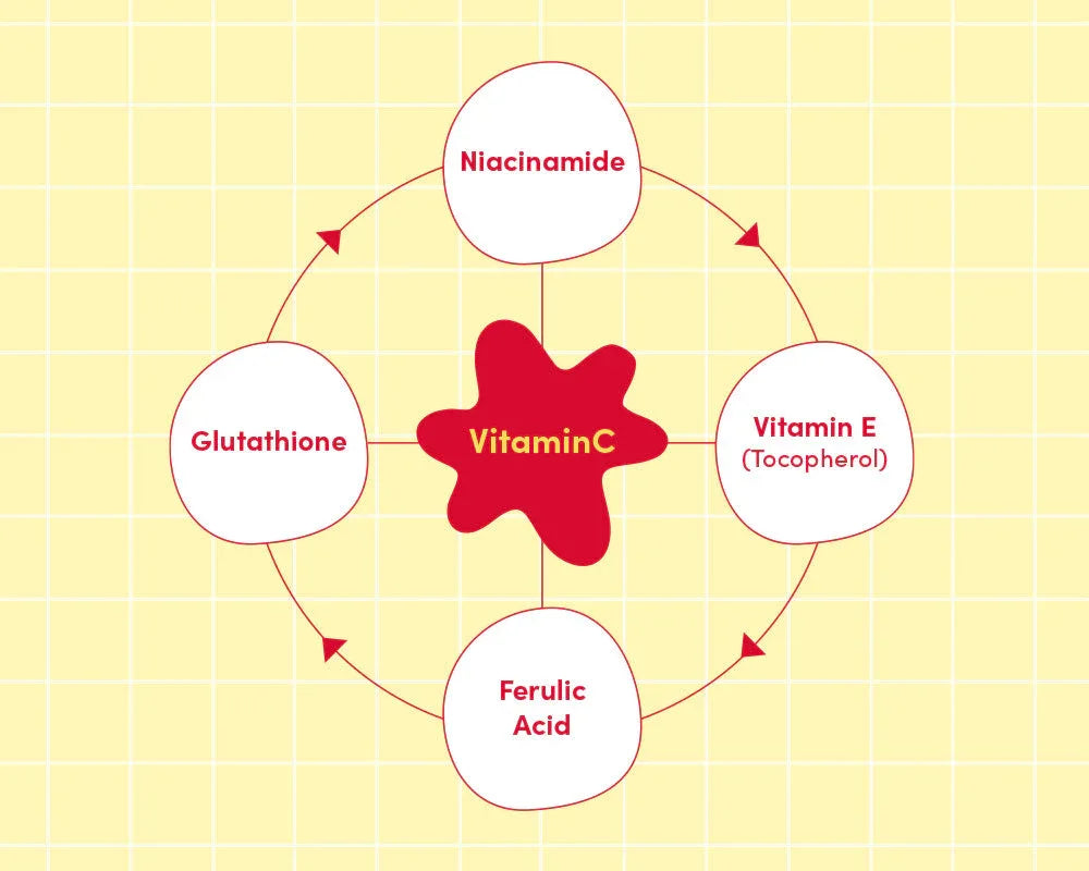 EQQUALBERRY | Vitamin Illuminating Serum 30ml - InternationalCosmetic