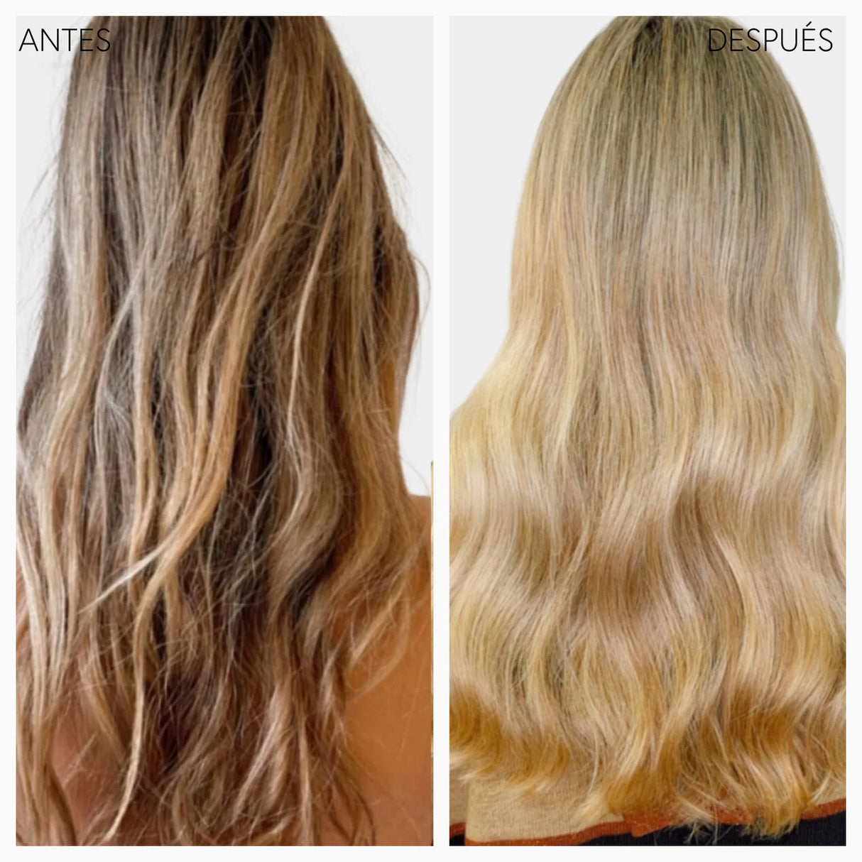 MONCHO MORENO | Clandestino Nº0