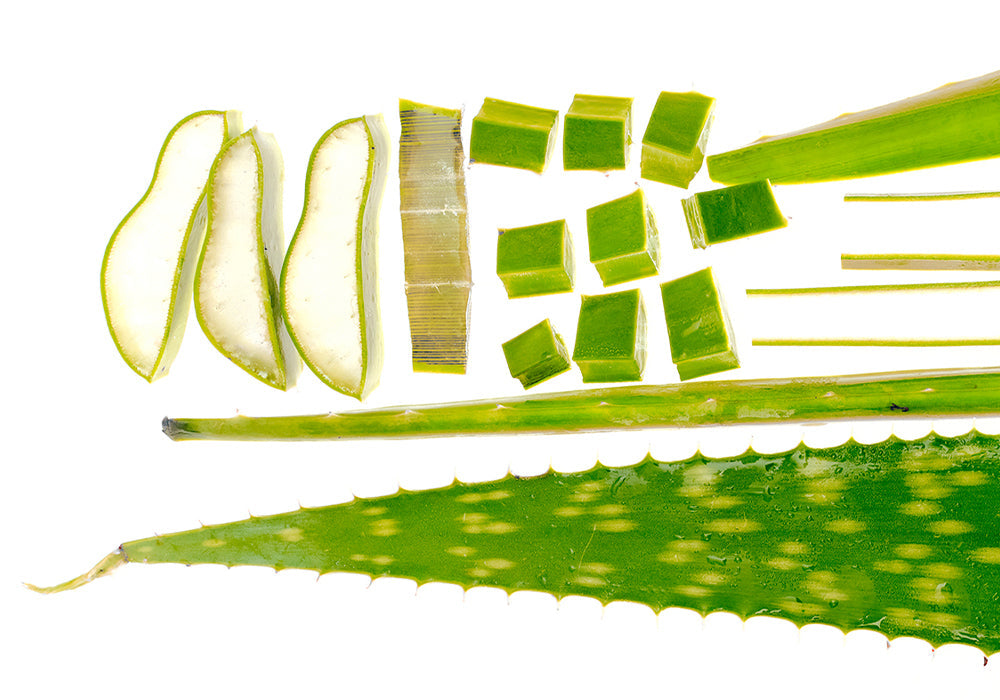 EQQUALBERRY | Aloe PDRN Calming Serum 30ml