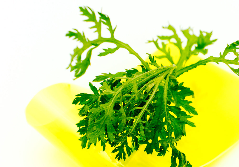 EQQUALBERRY | Aloe PDRN Calming Serum 30ml