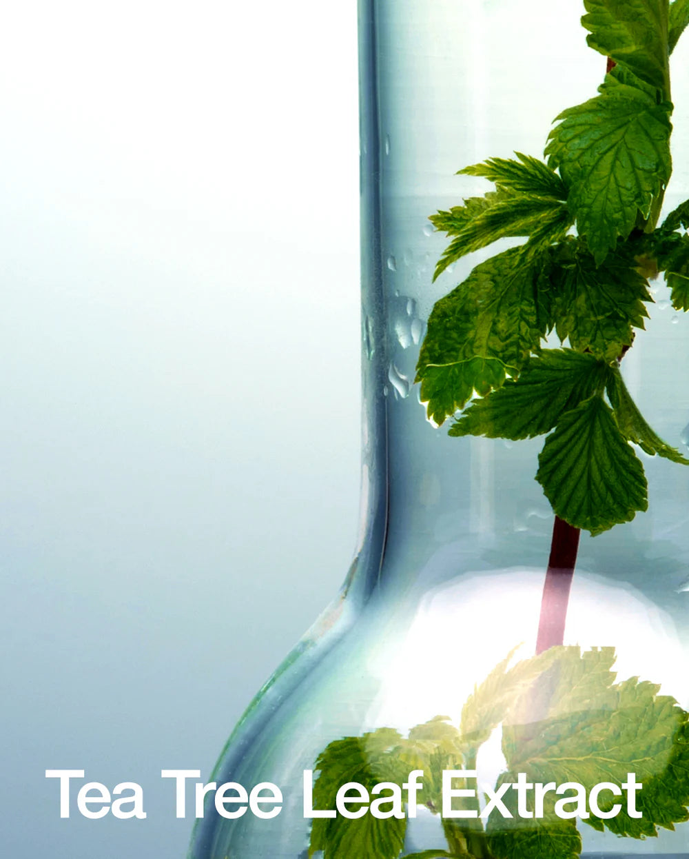 ANUA | BHA 2% Gentle Exfoliating Toner - 150ml