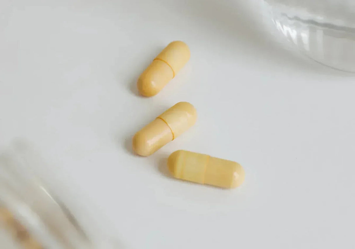 IVB WELLNESS LAB | Memory-ON - 60 Cápsulas - InternationalCosmetic