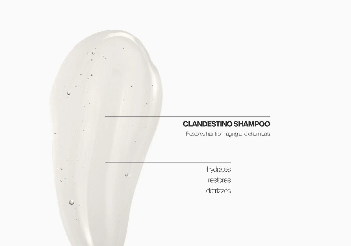 MONCHO MORENO | CLANDESTINO Nº1 | Champú Profesional - 650ml - InternationalCosmetic