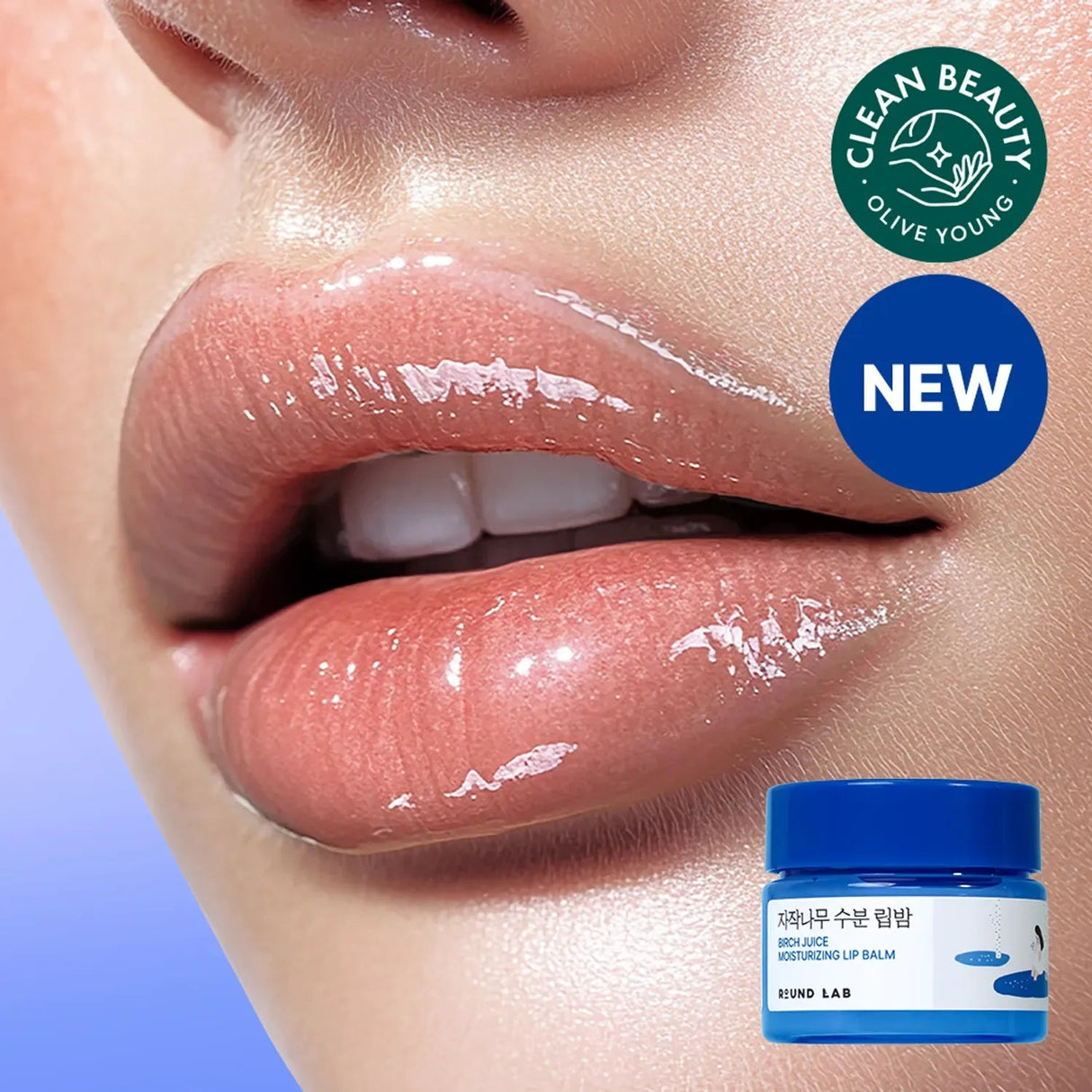 ROUND LAB | Round Lab Birch Moisturizing Lip Balm - 20gr - InternationalCosmetic