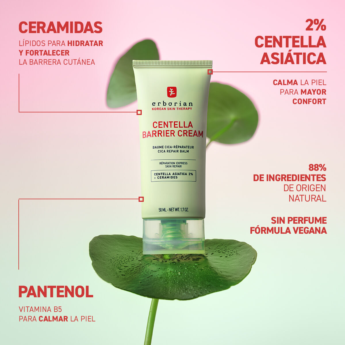 ERBORIAN | Centella Barrier Cream - 50ml