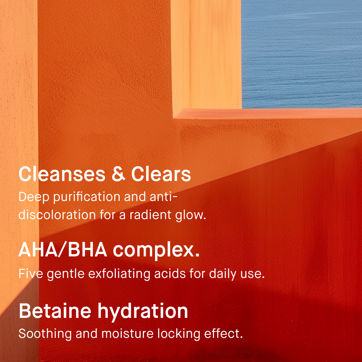 EVY TECHNOLOGY | Renew Mousse AHA / BHA Cleanser - 100ml