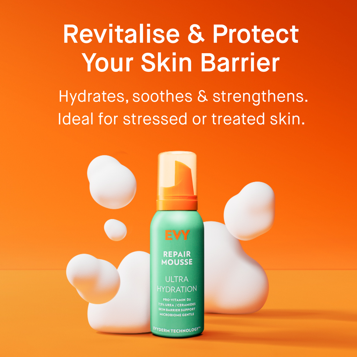 EVY TECHNOLOGY | Repair Mousse - 100ml