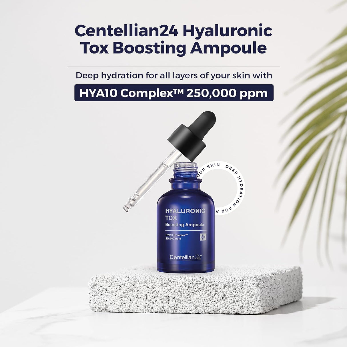 CENTELLIAN 24 | Hyaluronic Tox Boosting Ampoule - 30ml