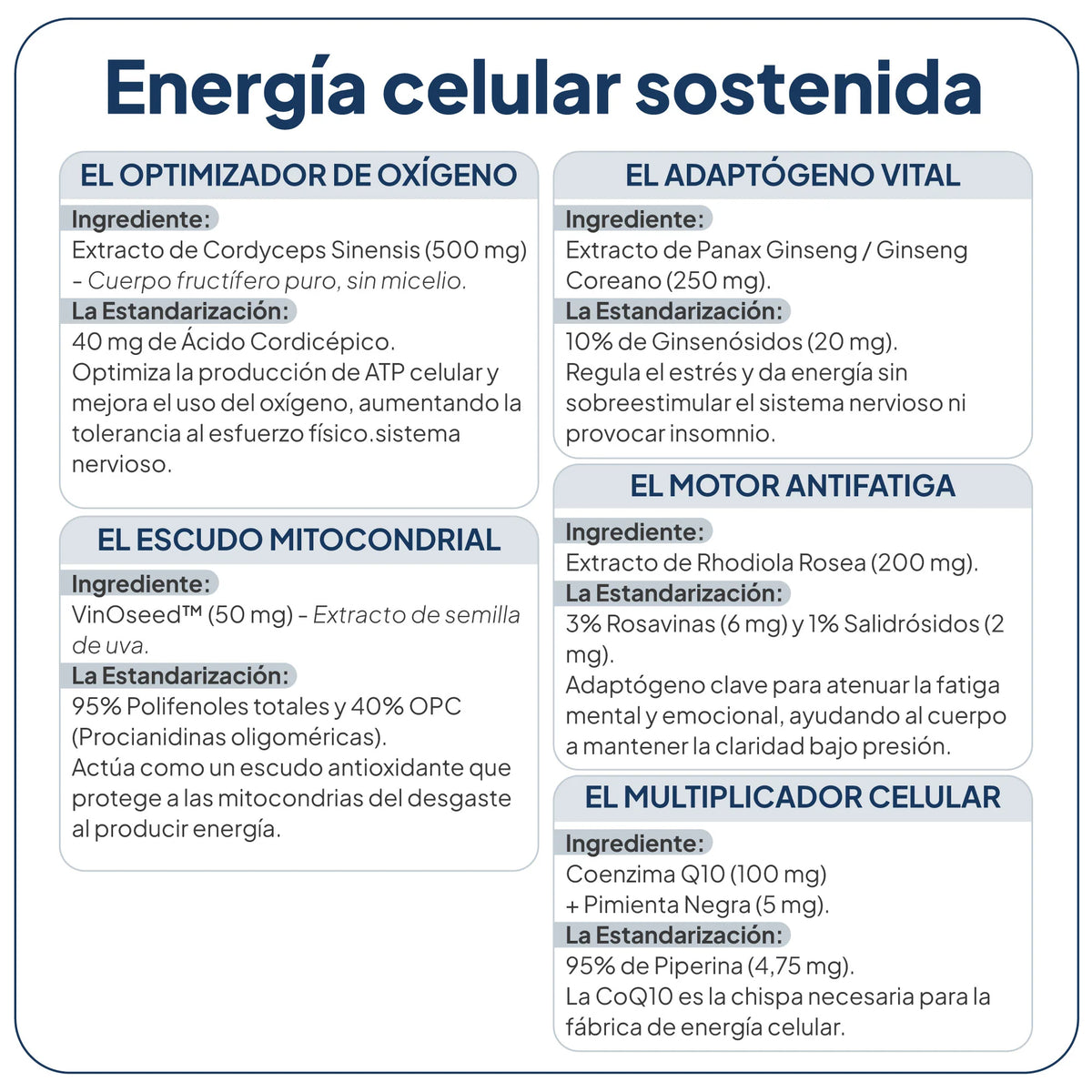 IVB WELLNESS LAB | Energy UP - 60 Cápsulas