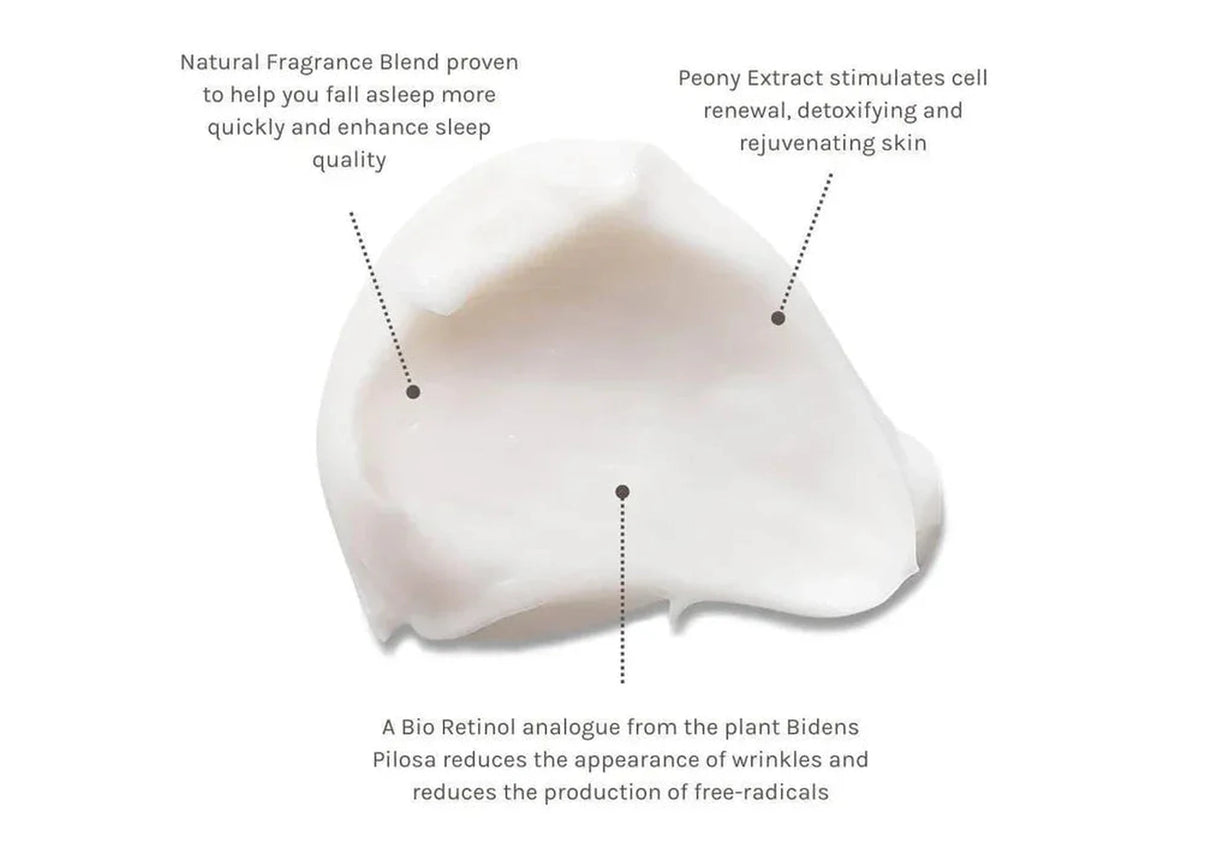 EVOLVE | Nightly Renew Facial Cream - 60ml - InternationalCosmetic