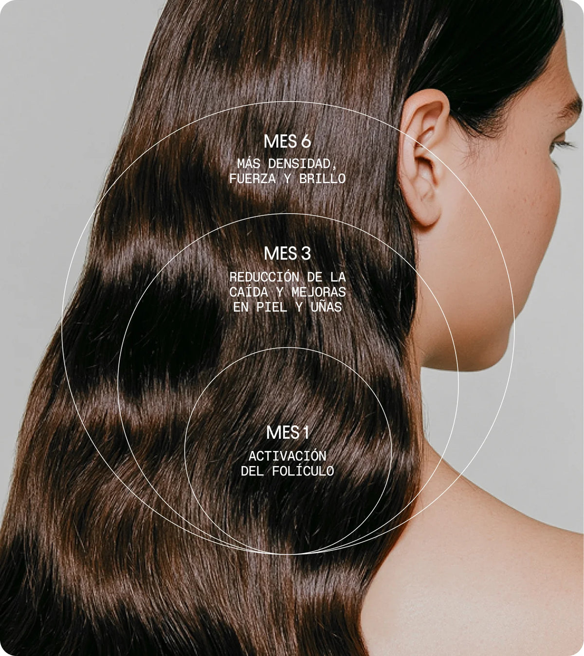 OLISTIC | Women Pack Triplo (3 meses)