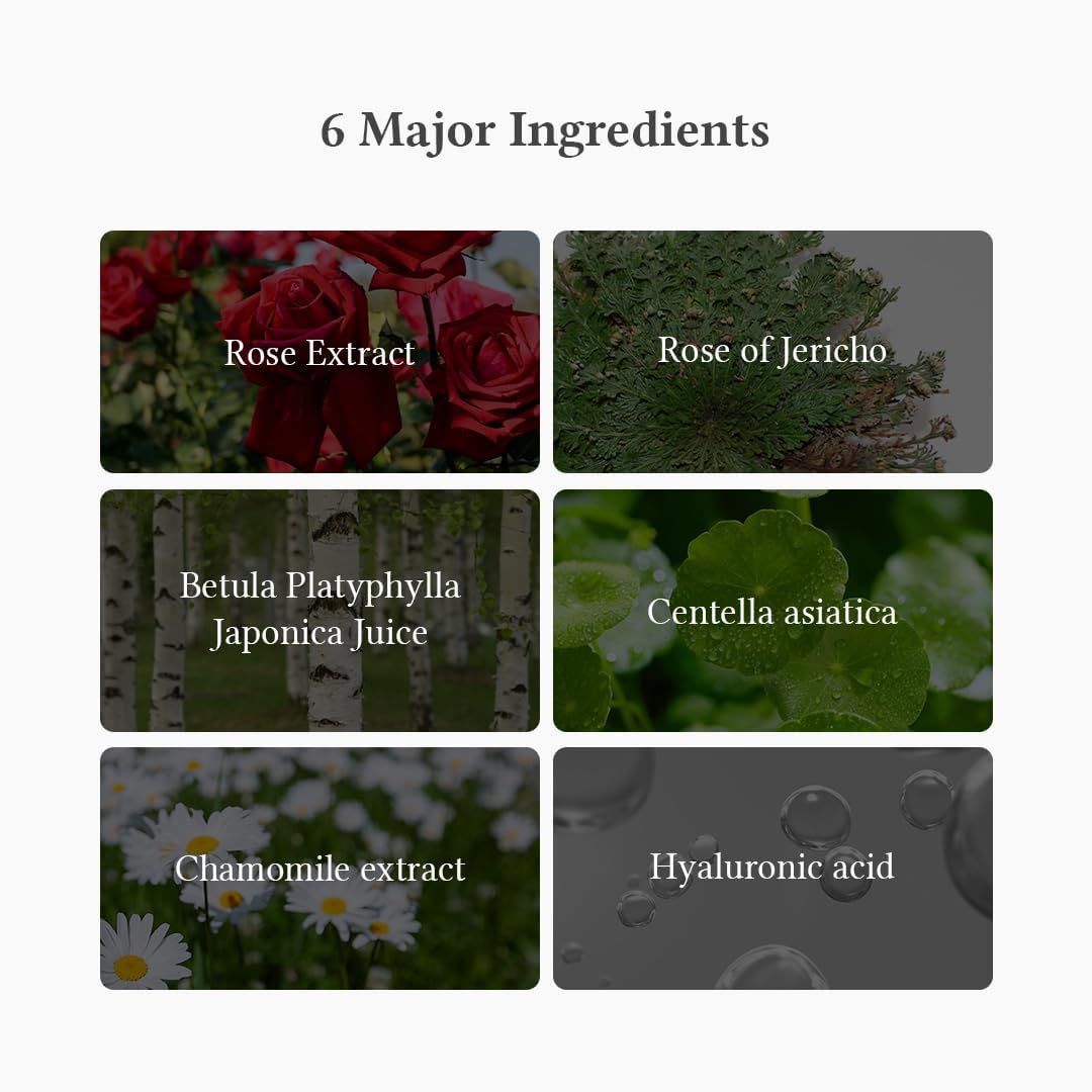 DR. ALTHEA | Oasis Soothing Mask - 5ud