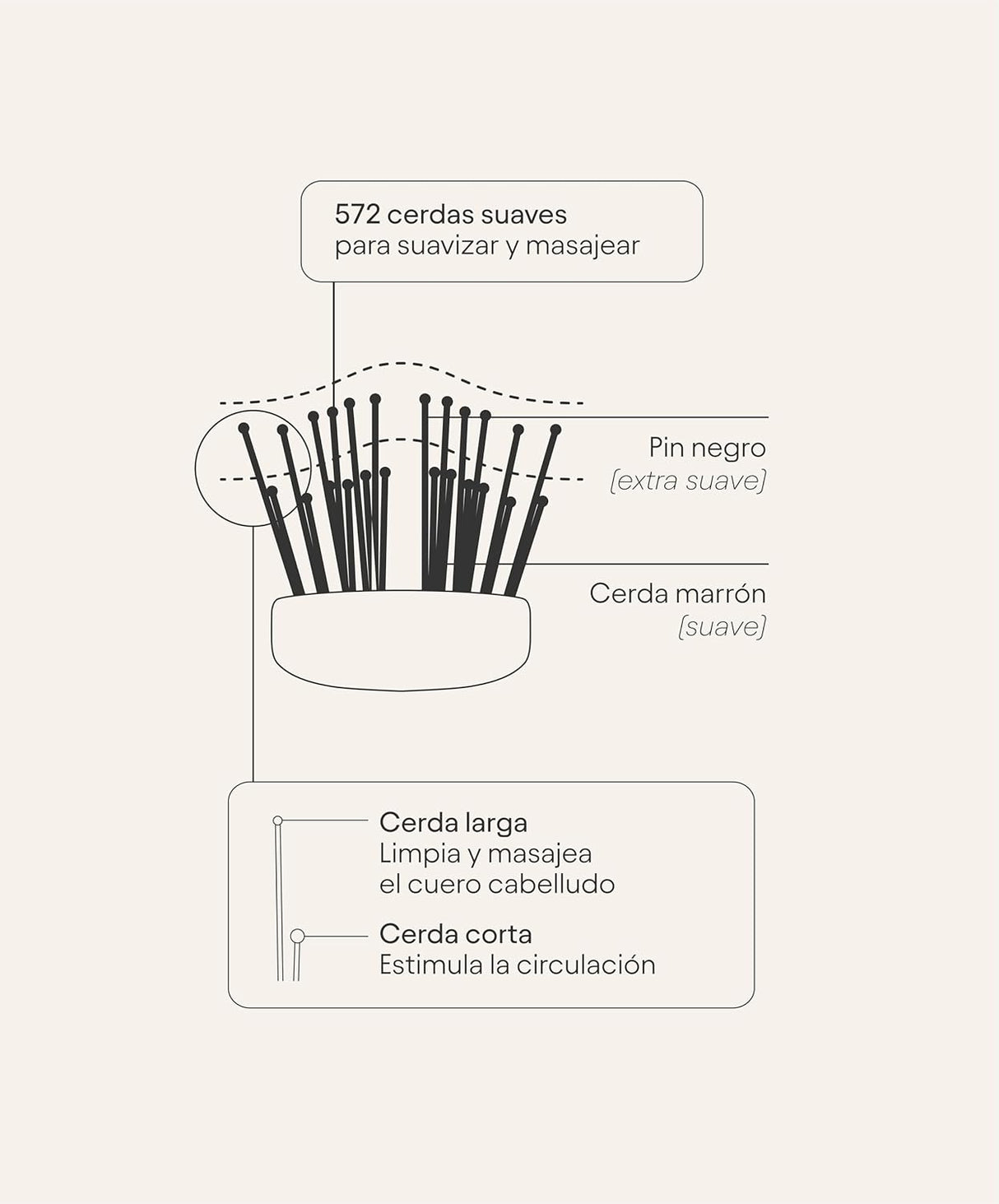 OLISTIC | The iBrush