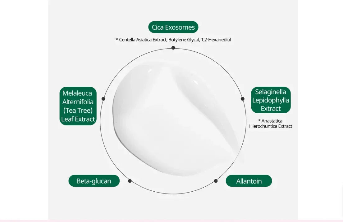 VT COSMETICS | Pro Cica Reedle Shot® 100 2step Hydrogel Mask - InternationalCosmetic