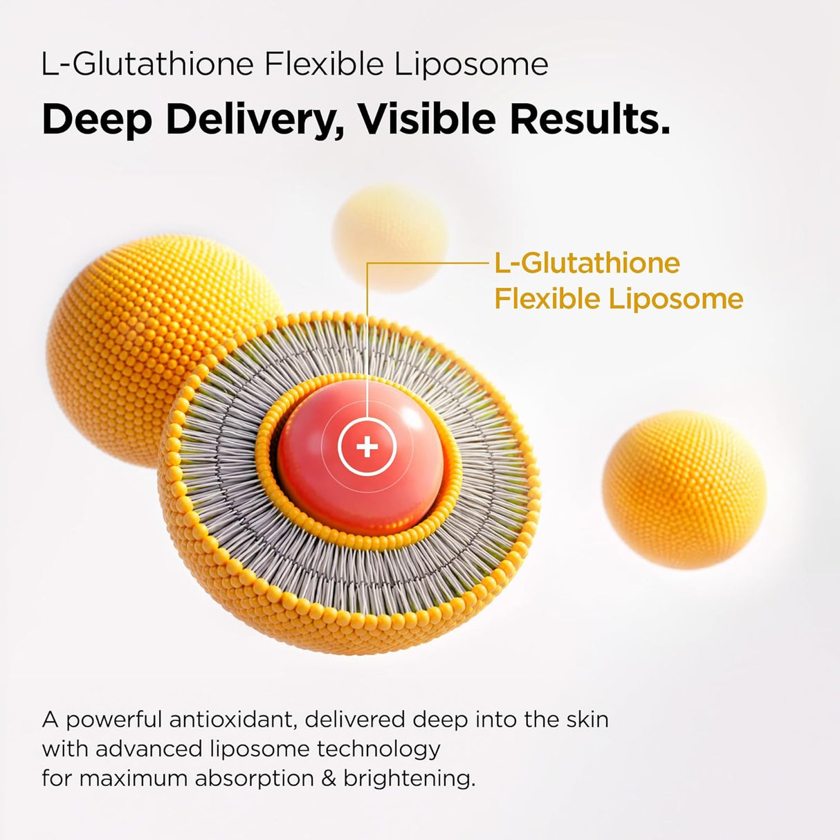 PURCELL | L-Glutathione Vitamin Boosting Toner - 150ml