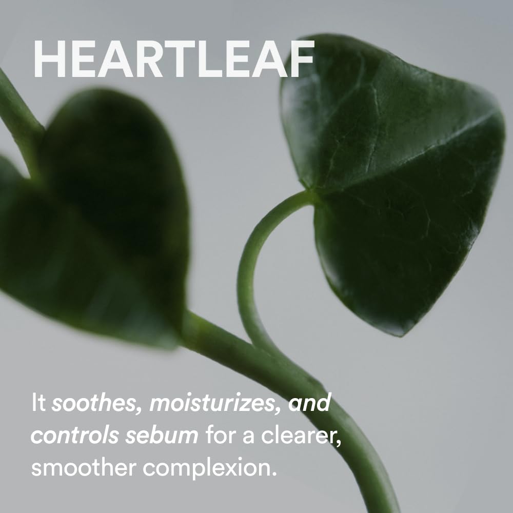 ABIB | Pore Cleansing Oil Heartleaf Oil-Wash - 200ml