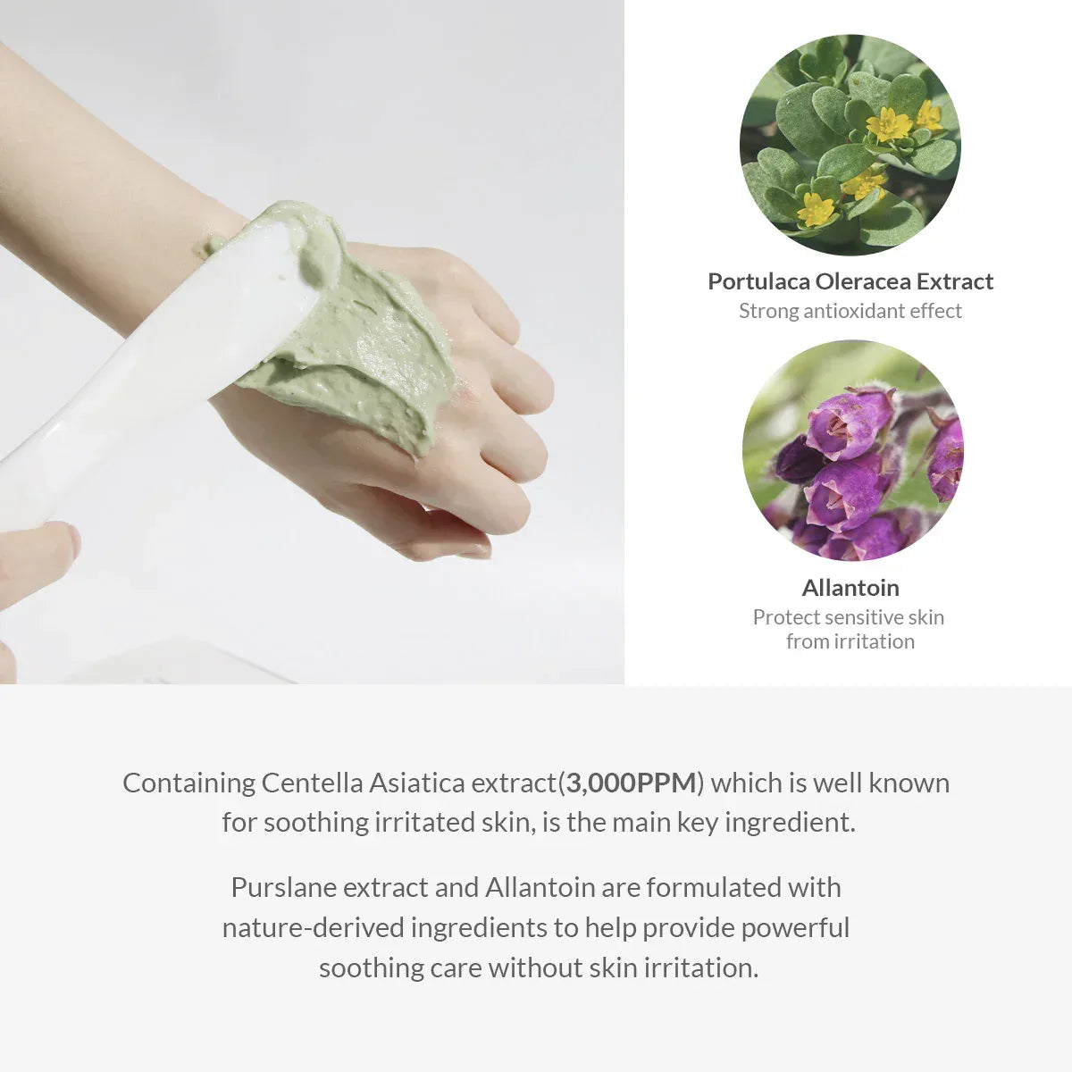 DR. ALTHEA | Premium Cica Modeling Mask Set - 5ud - InternationalCosmetic