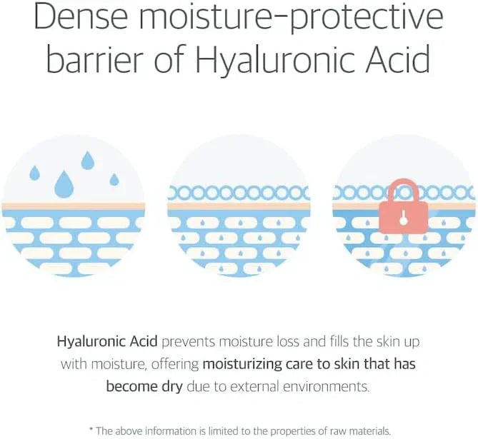 ROUND LAB | Birch Juice Moisturizing Mask - InternationalCosmetic