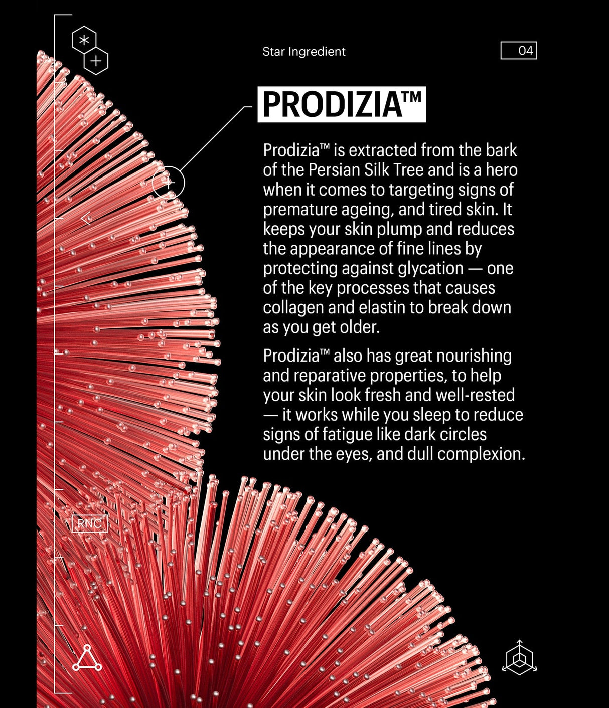 Retinal & Peptides Repair Night Cream de Allies of Skin