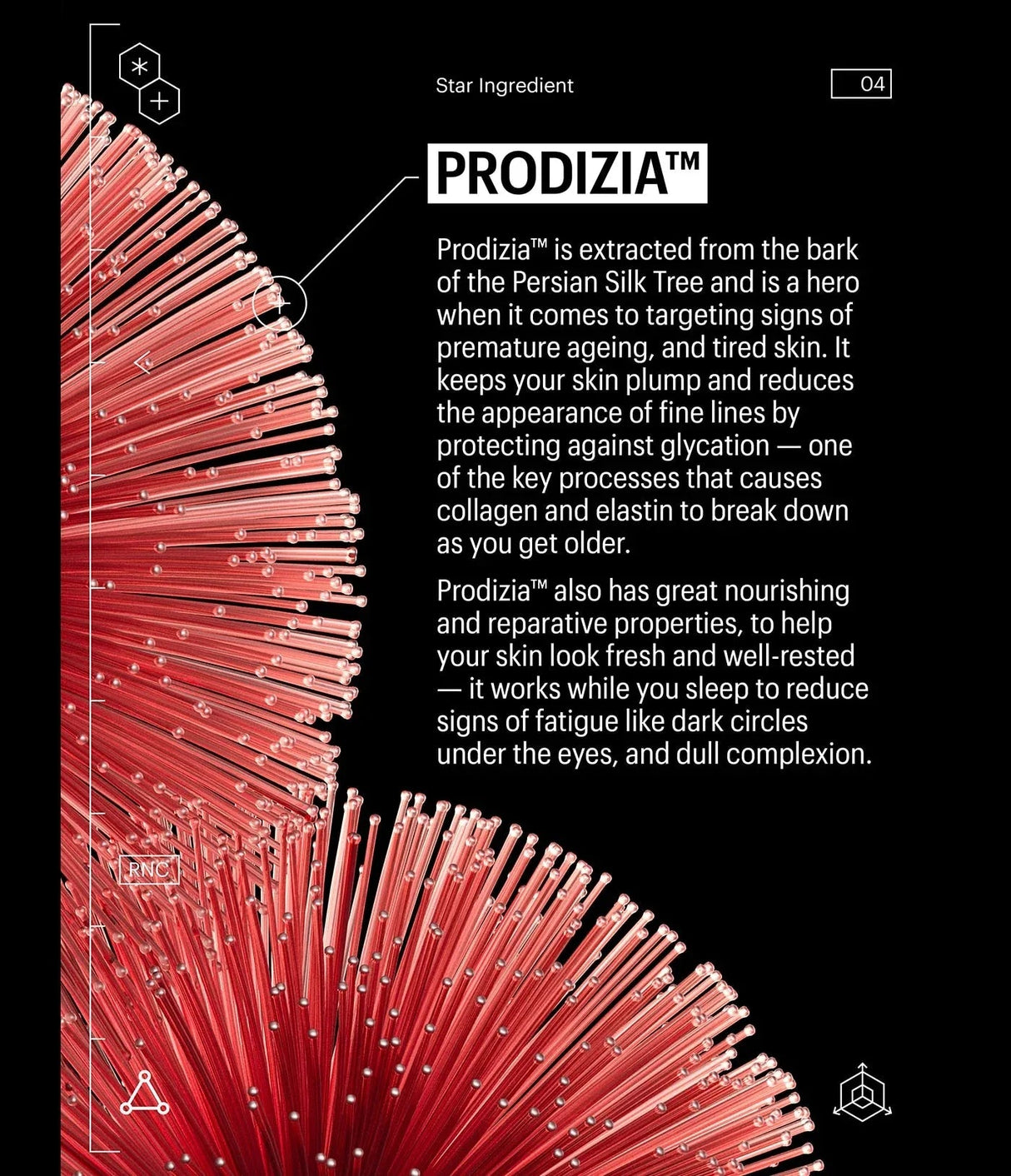 ALLIES OF SKIN | Formato de Viaje Retinal & Peptides Repair Night Cream - 12ml - InternationalCosmetic