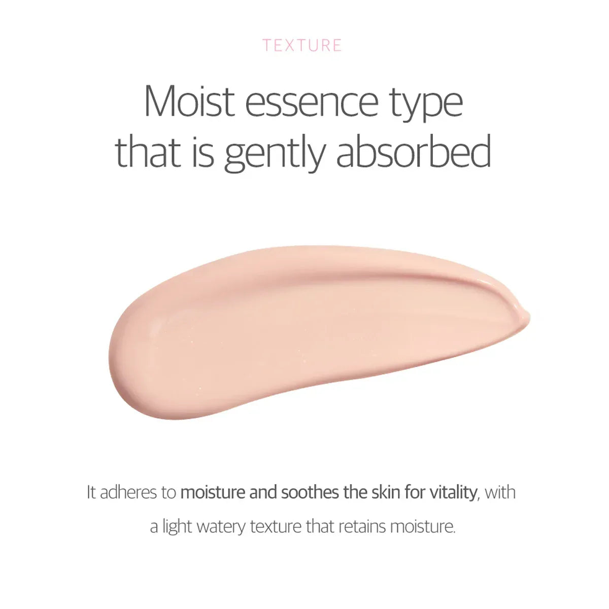 ROUND LAB | Birch Juice Moisturizing Tone-Up Sun Screen SPF50+ - 50 ml - InternationalCosmetic