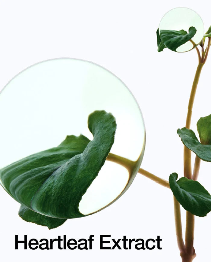 ANUA | Heartleaf LHA Moisture Peeling Gel - 200ml