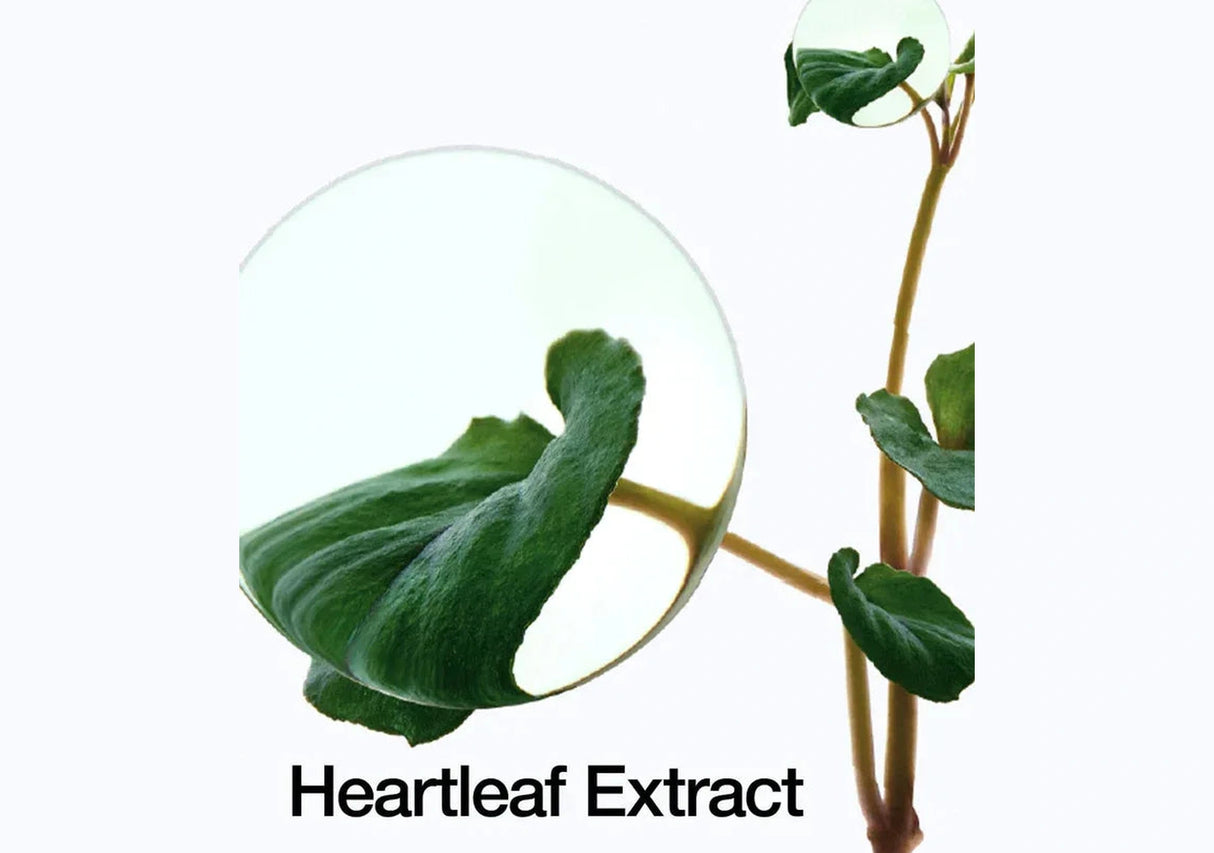 ANUA | Heartleaf Pore Cleansing Oil Mild - 200ml