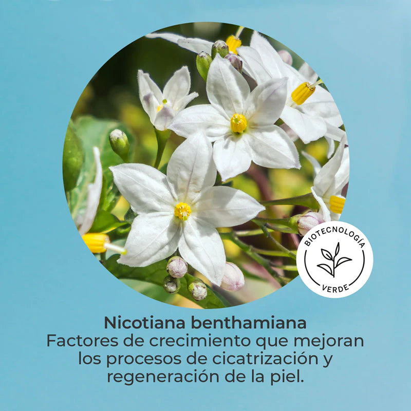 SEGLE | Skin Factor Barrier - Facial Cream Gel - 30ml