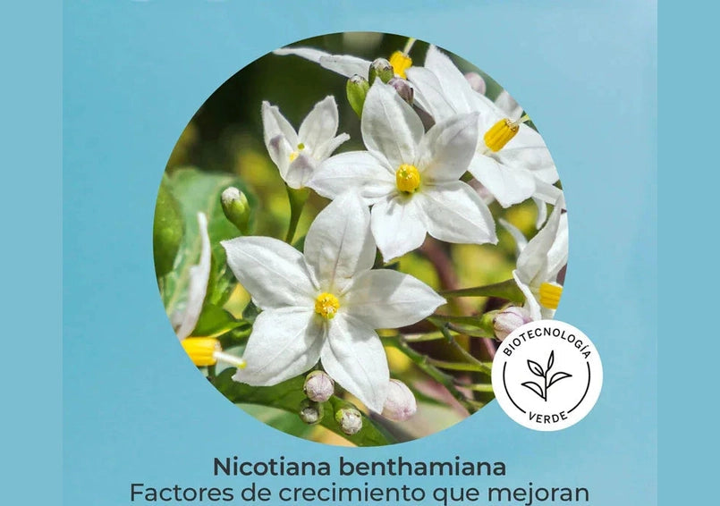 SEGLE | Skin Factor Barrier - Facial Cream Gel - 30ml - InternationalCosmetic