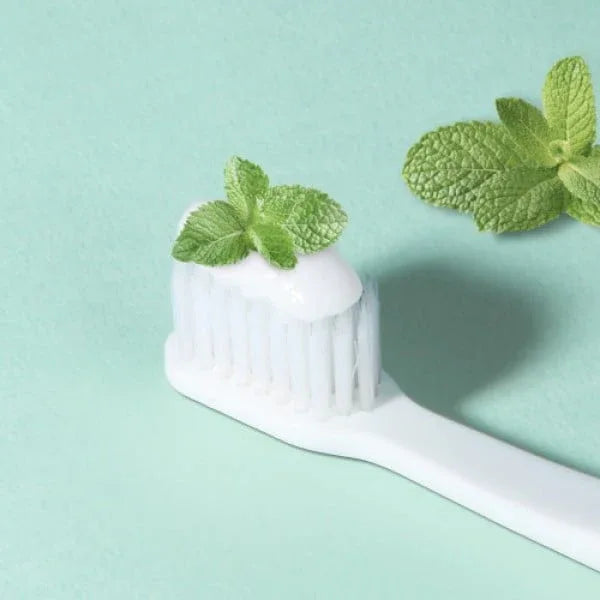 BOUQUET GARNI | Bad Refreshing Toothpaste Fresh Mint - 80ml - InternationalCosmetic
