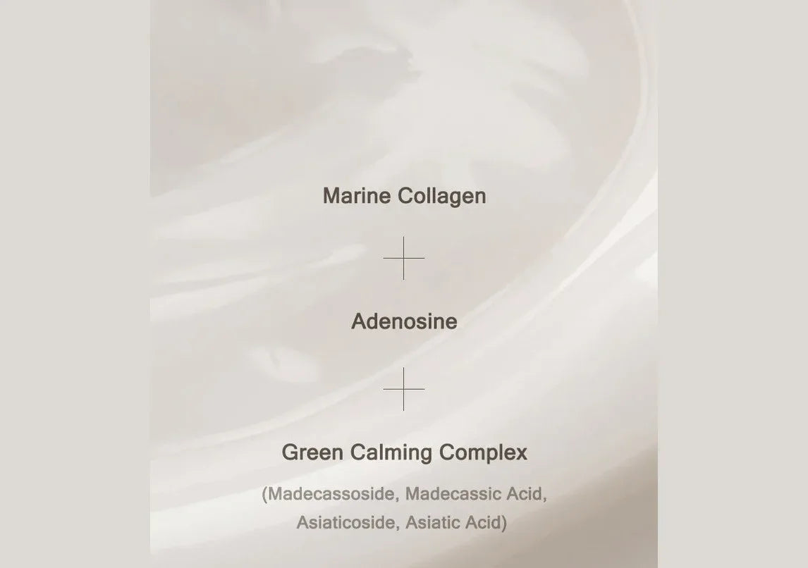 MIZON | Collagen Power Firming Enriched Cream - 50ml - InternationalCosmetic