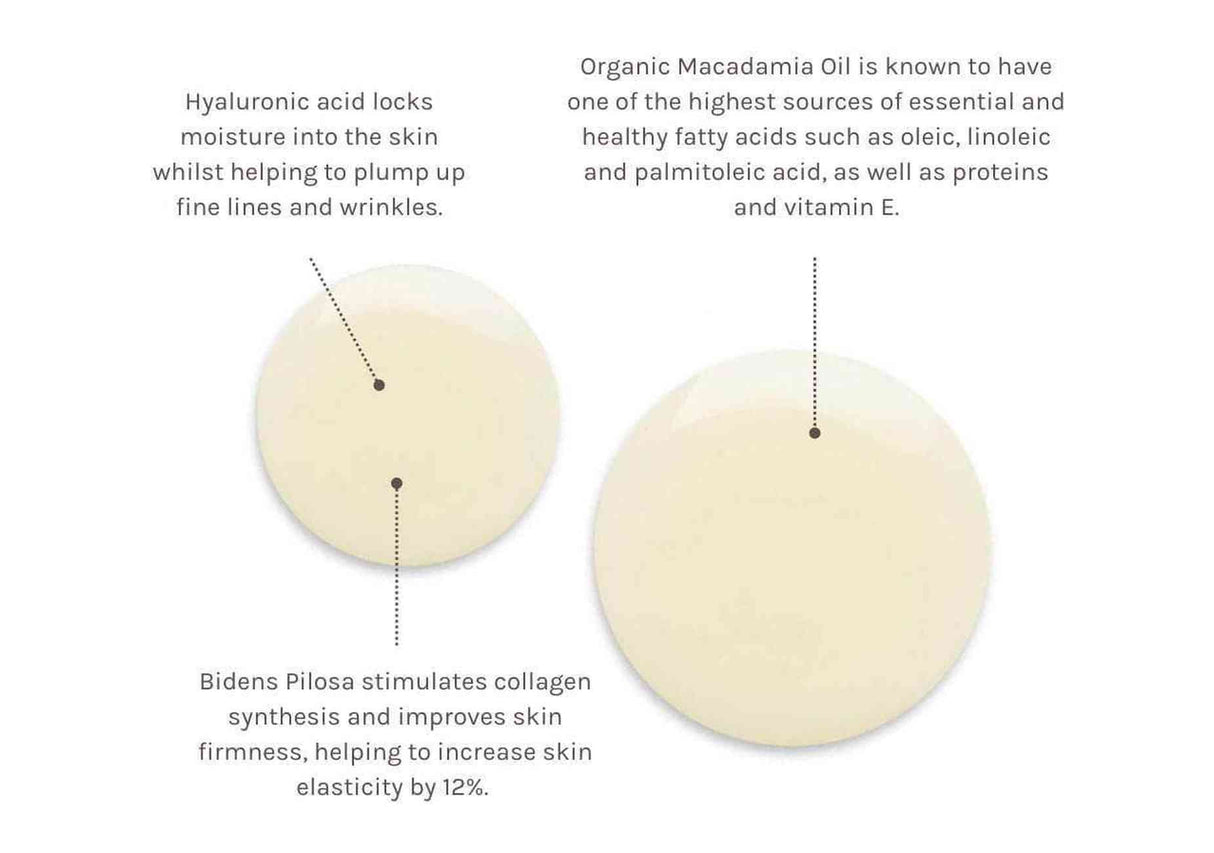 EVOLVE | Timeless Renewal Bio-Retinol Body Oil - 100ml