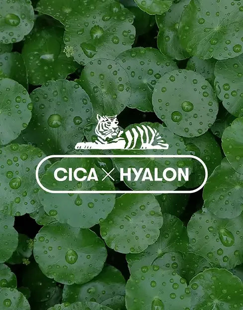 VT COSMETICS | Collagen Reedle Shot 100 - 50ml