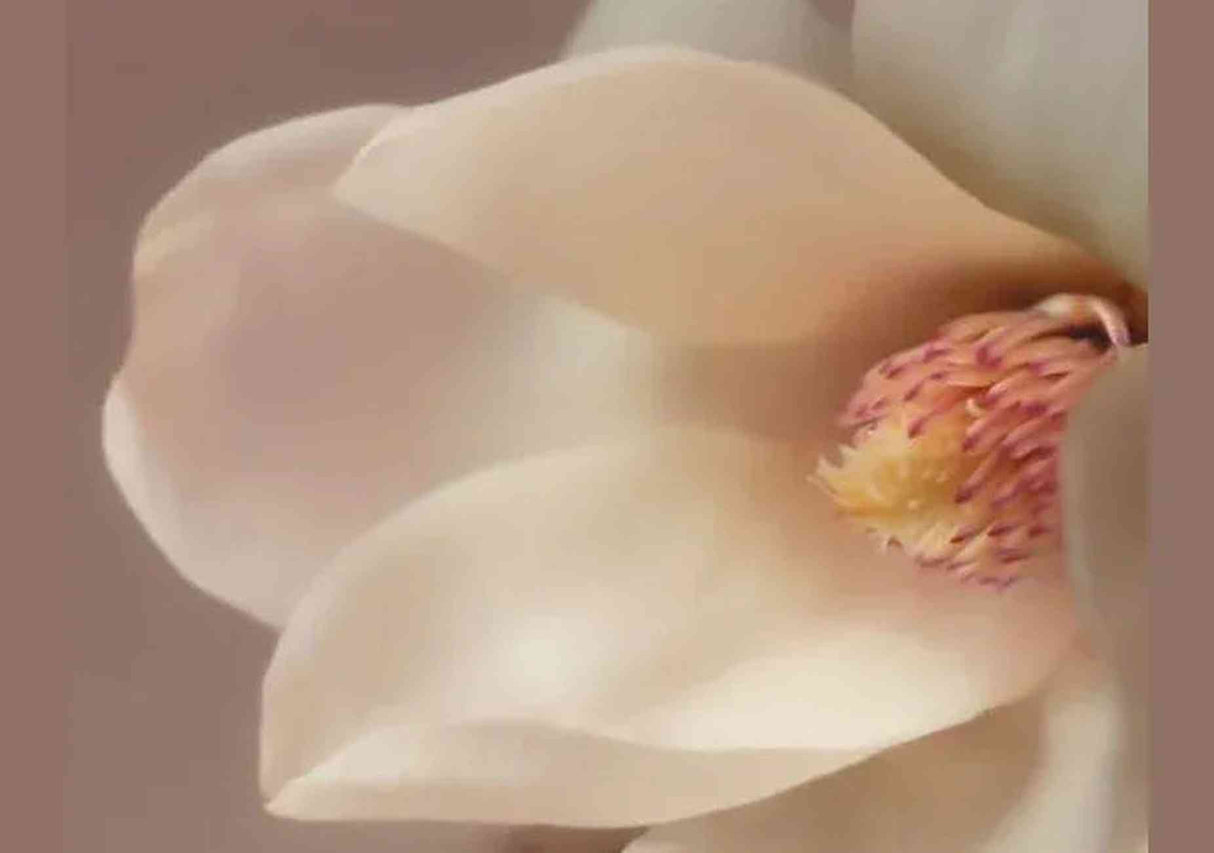 AROMATICA | Mellowness Hand Cream Magnolia & Sandalwood - 30ml