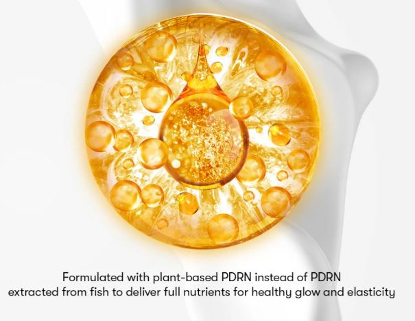 VT COSMETICS | PDRN Reedle Shot 100 - 50ml