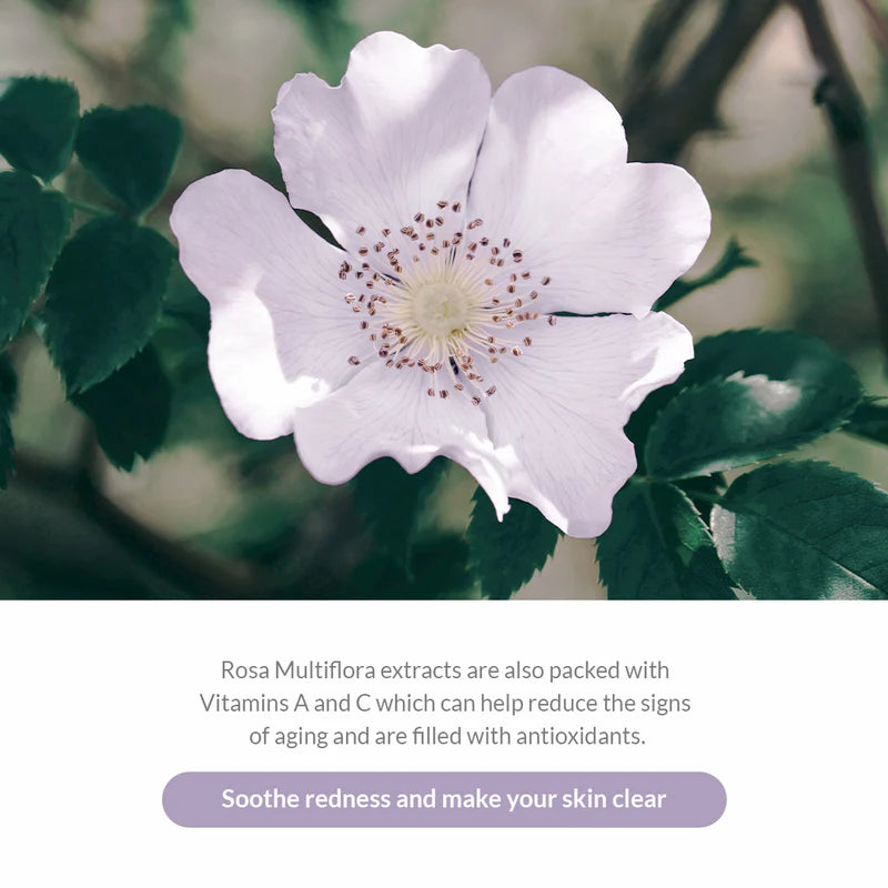 Set de Mascarillas Modeladoras Premium Rosa (25g*5 unidades)