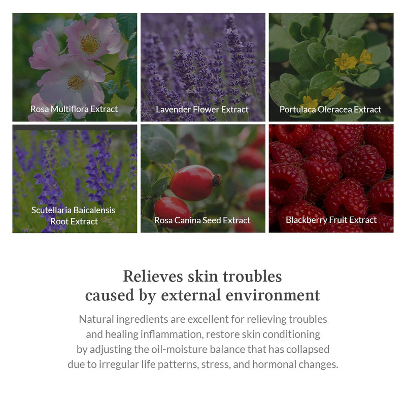 Set de Mascarillas Modeladoras Premium Rosa (25g*5 unidades)