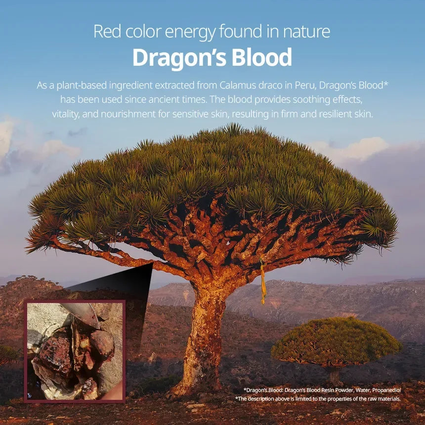 VT COSMETICS | Red Booster Reedle Shot 300 - 50ml - InternationalCosmetic