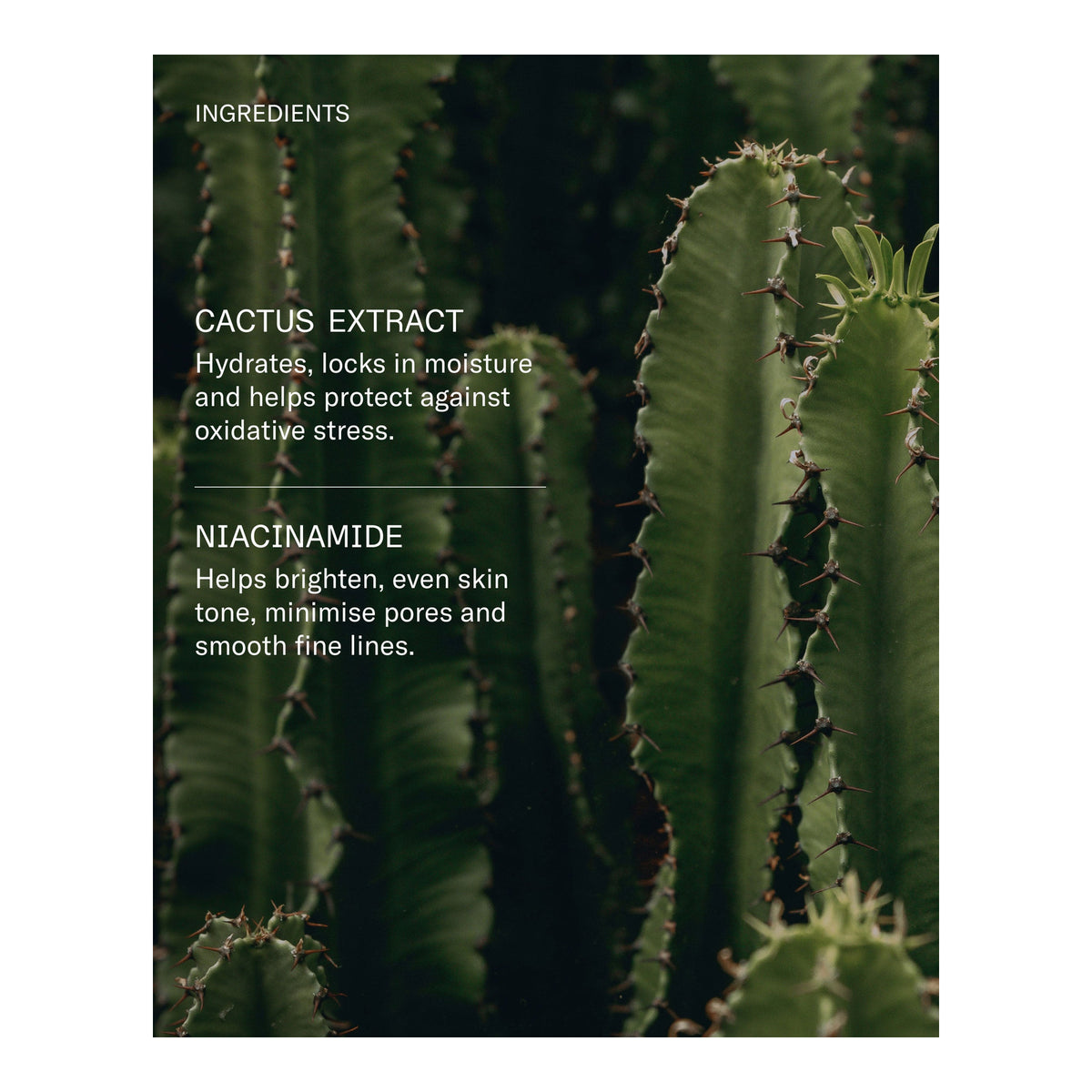 FACETHEORY | Replenamist Hydrating Toner - 100ml