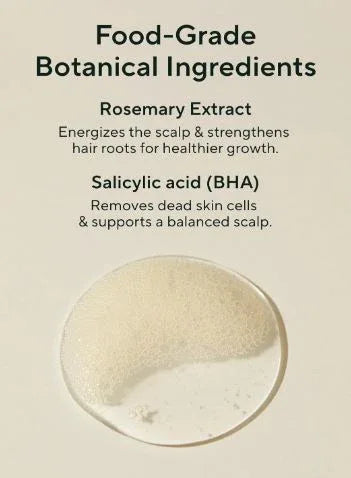 AROMATICA | Rosemary Scalp Scaling Shampoo - InternationalCosmetic