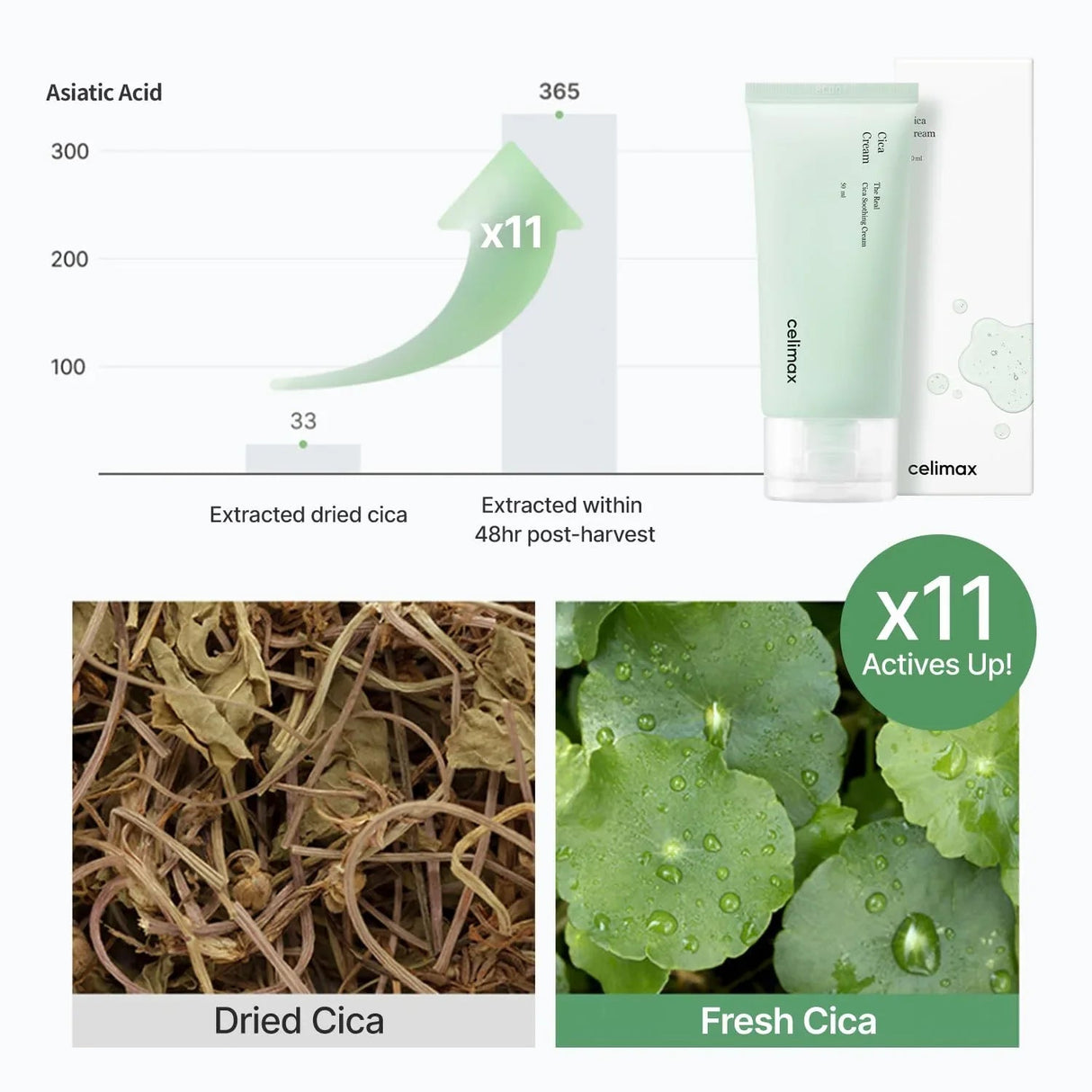 CELIMAX | The Real Cica Soothing Cream - 50ml - InternationalCosmetic
