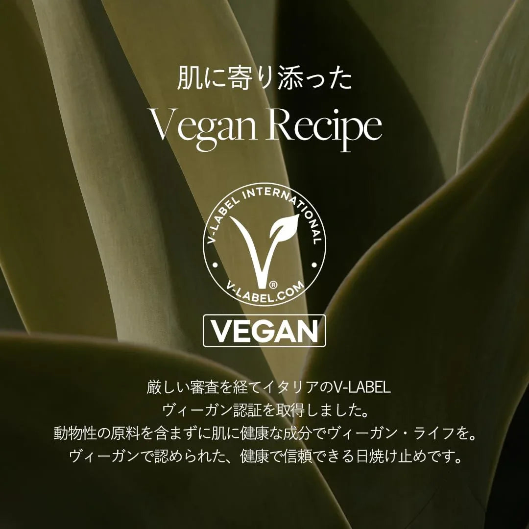 D'ALBA| Waterfull Fresh Sun Cushion SPF 50+ PA++++ - 25gr - InternationalCosmetic