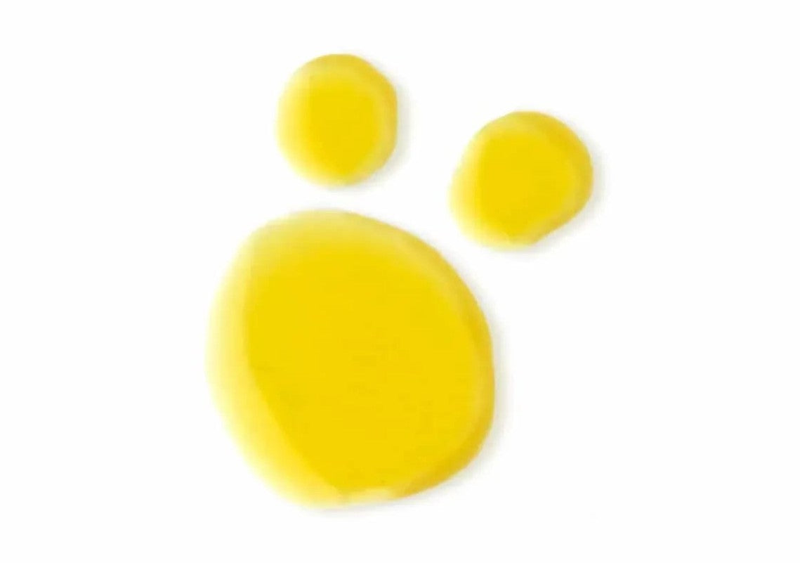 EVOLVE | Bio-Retinol + C Booster - 15ml - InternationalCosmetic