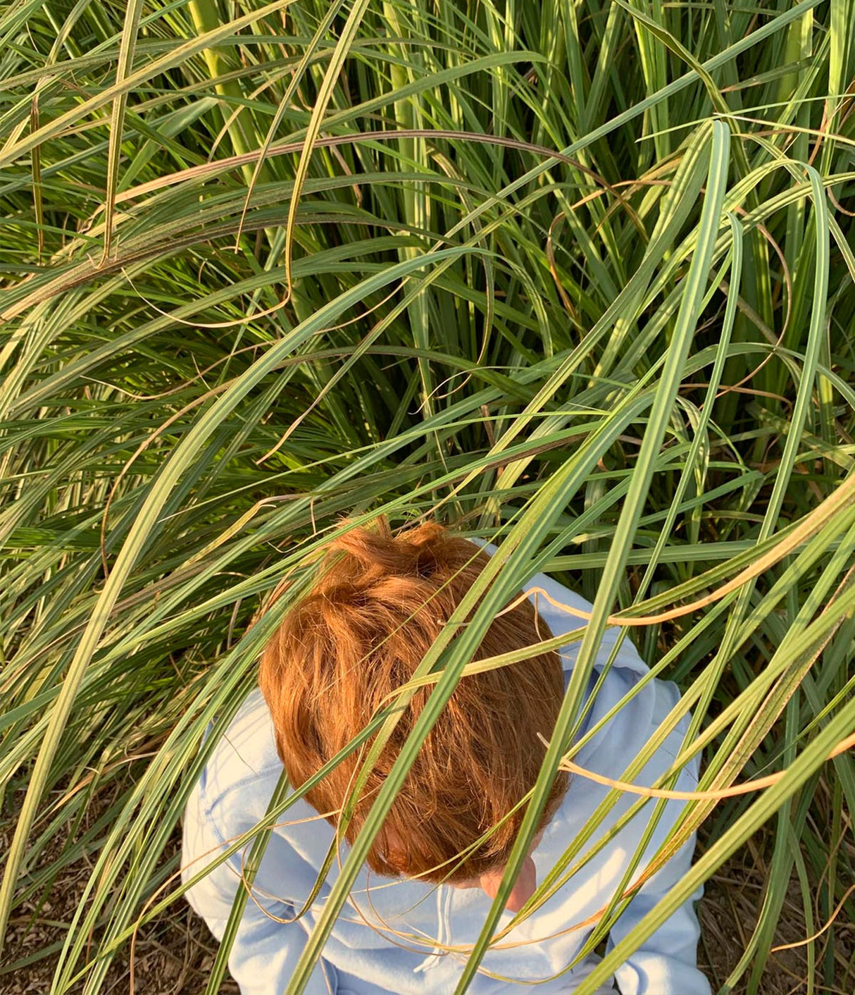 Fresh Grass Natural Conditioner de Yope