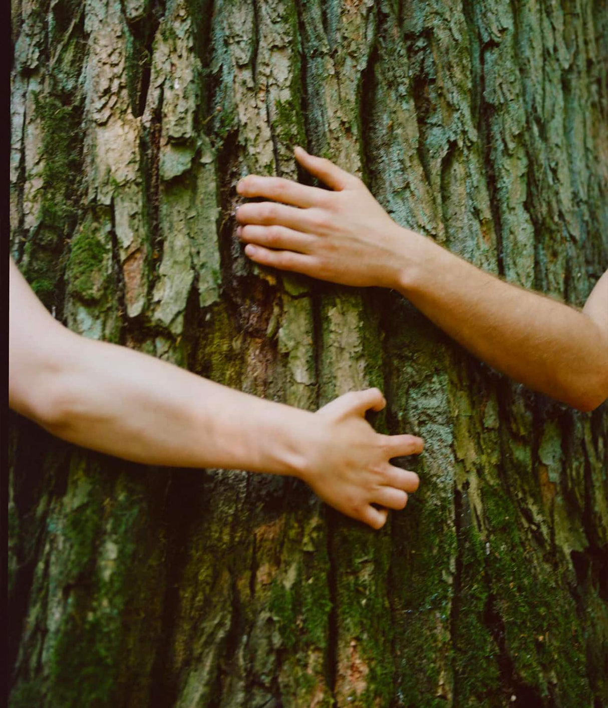 Guaiac Tree Natural Shampoo de Yope